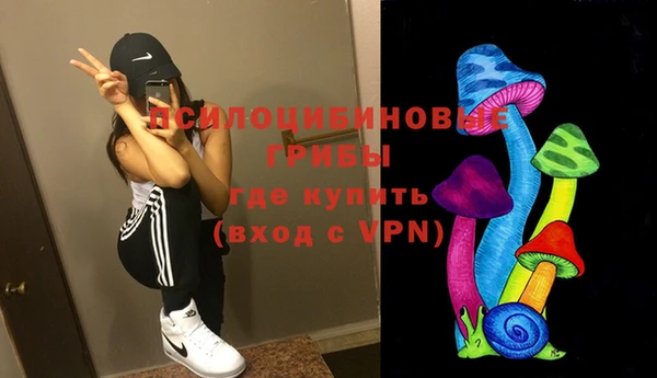 соль ск Дмитров