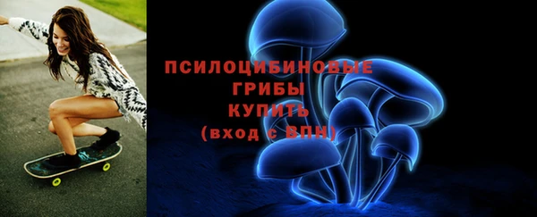 спайс Дмитровск