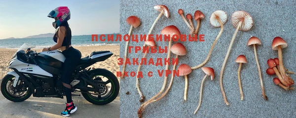 спайс Дмитровск